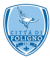 logo FLAMINIA CALCIO